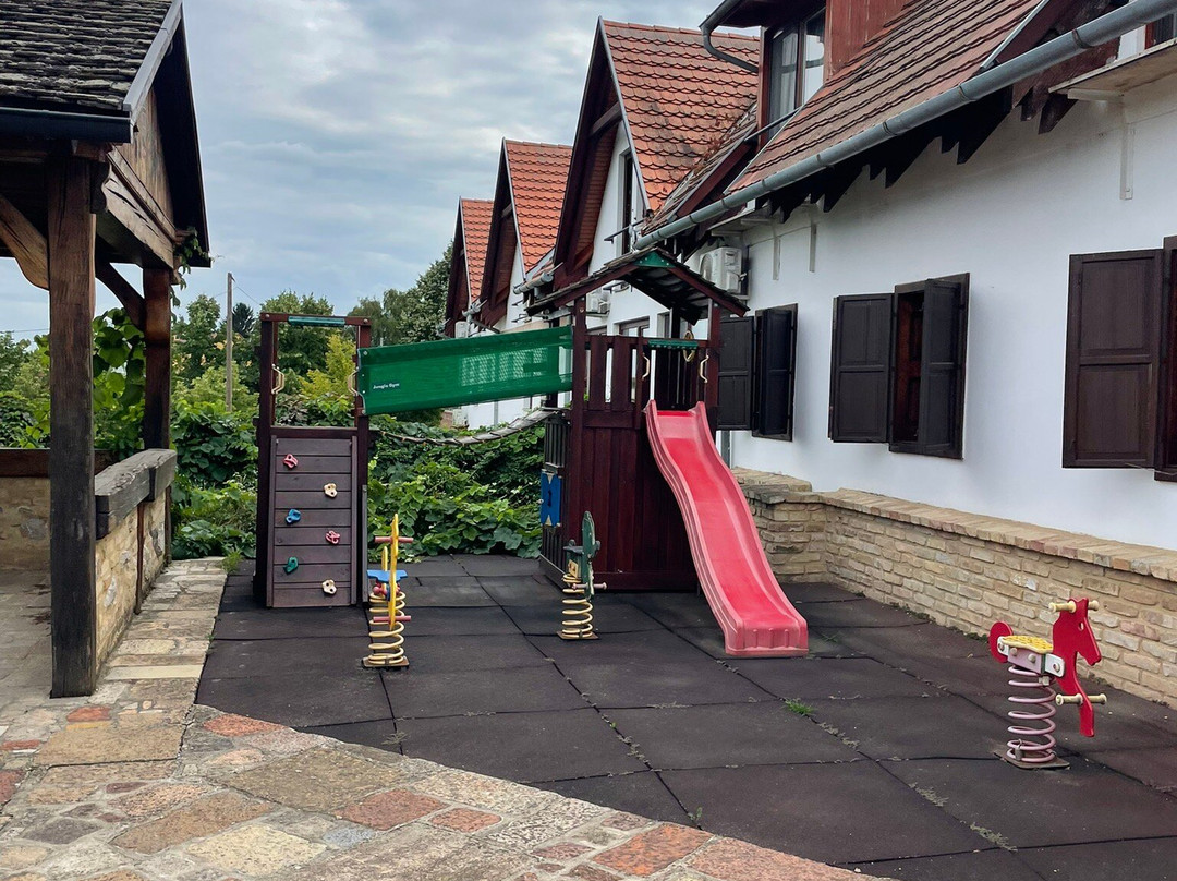 Halasi Pince Panzio主图