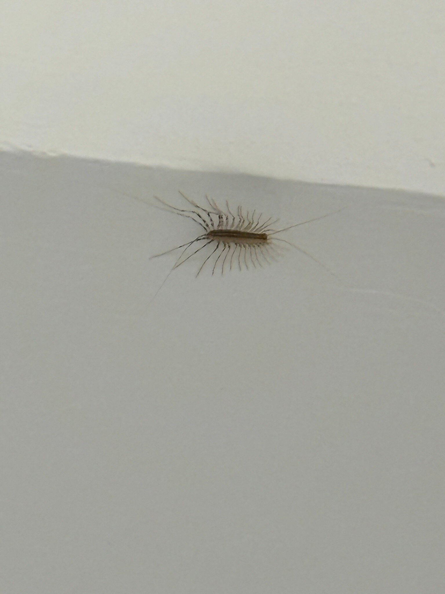 Ios Palace Hotel & Spa-官方