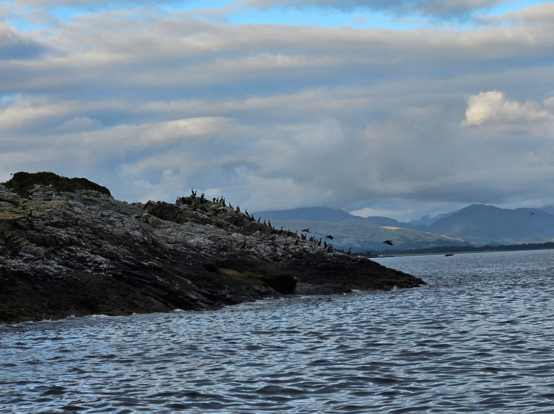 Etive Boat Trips-奥本必去景点