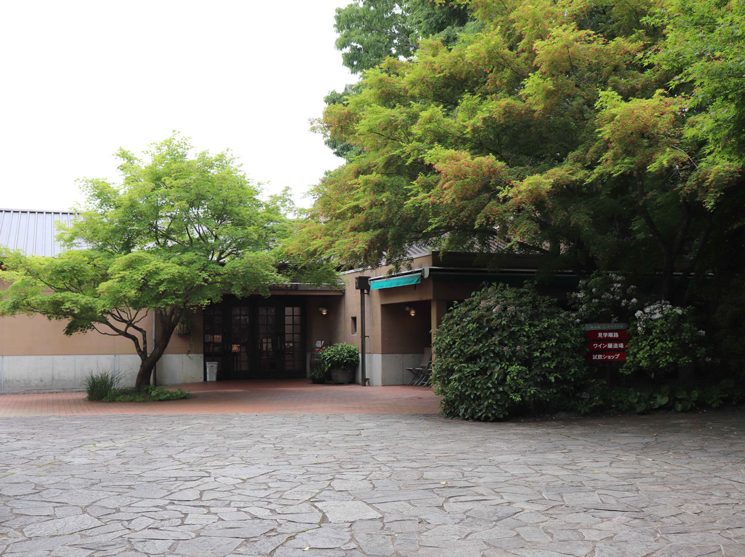 Ajimu Budoushu Koubou-宇佐市必去景点