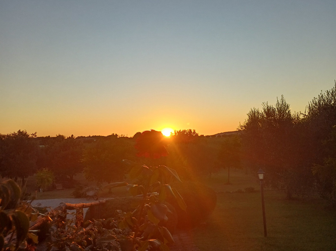 Agriturismo Casa Degli Ulivi主图