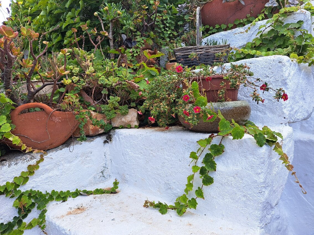 Hotel Rural Biniarroca主图