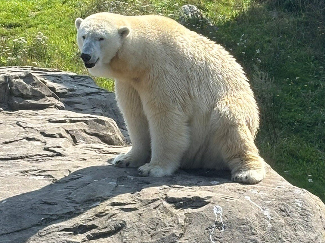 Rostock Zoo-罗斯托克必去景点