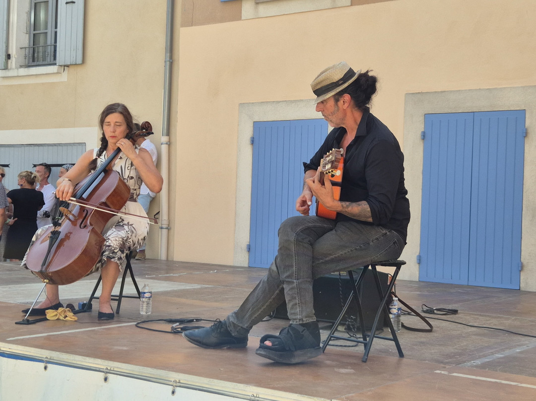 Village Médiéval de Malaucène-Malaucene必去景点