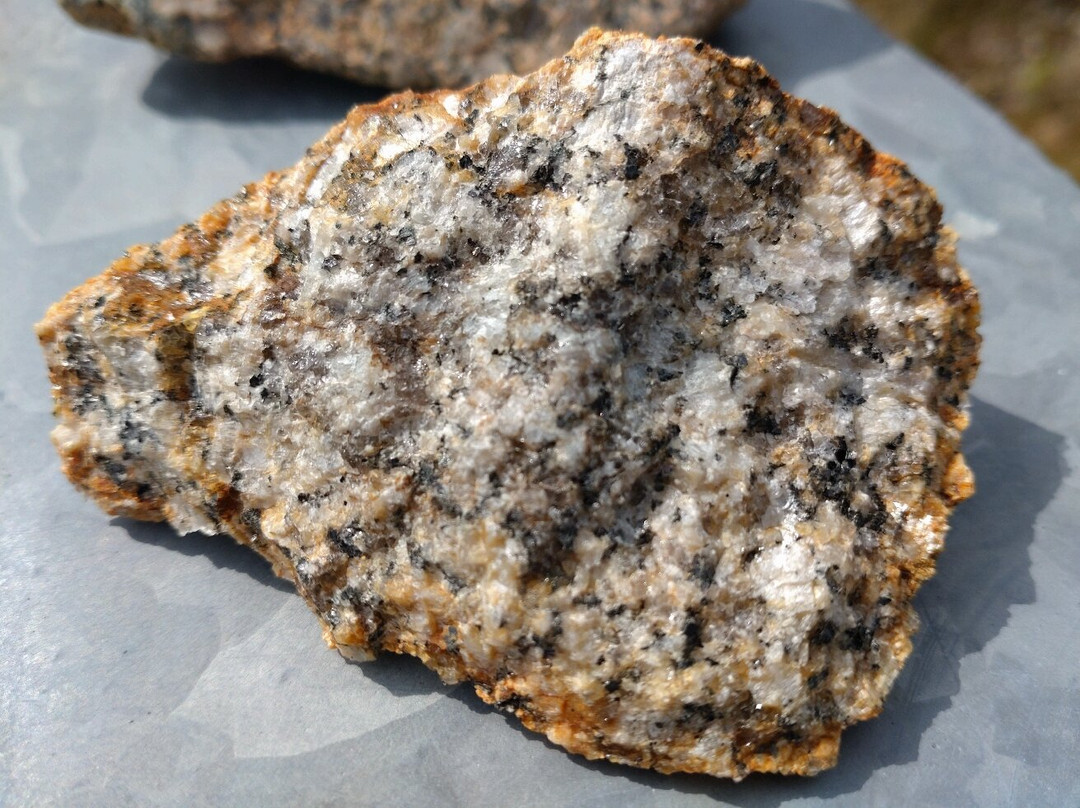 The Raiders Road Forest Drive-邓弗里斯-加洛韦必去景点