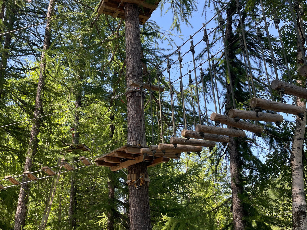 Prali Adventure Park-Prali必去景点