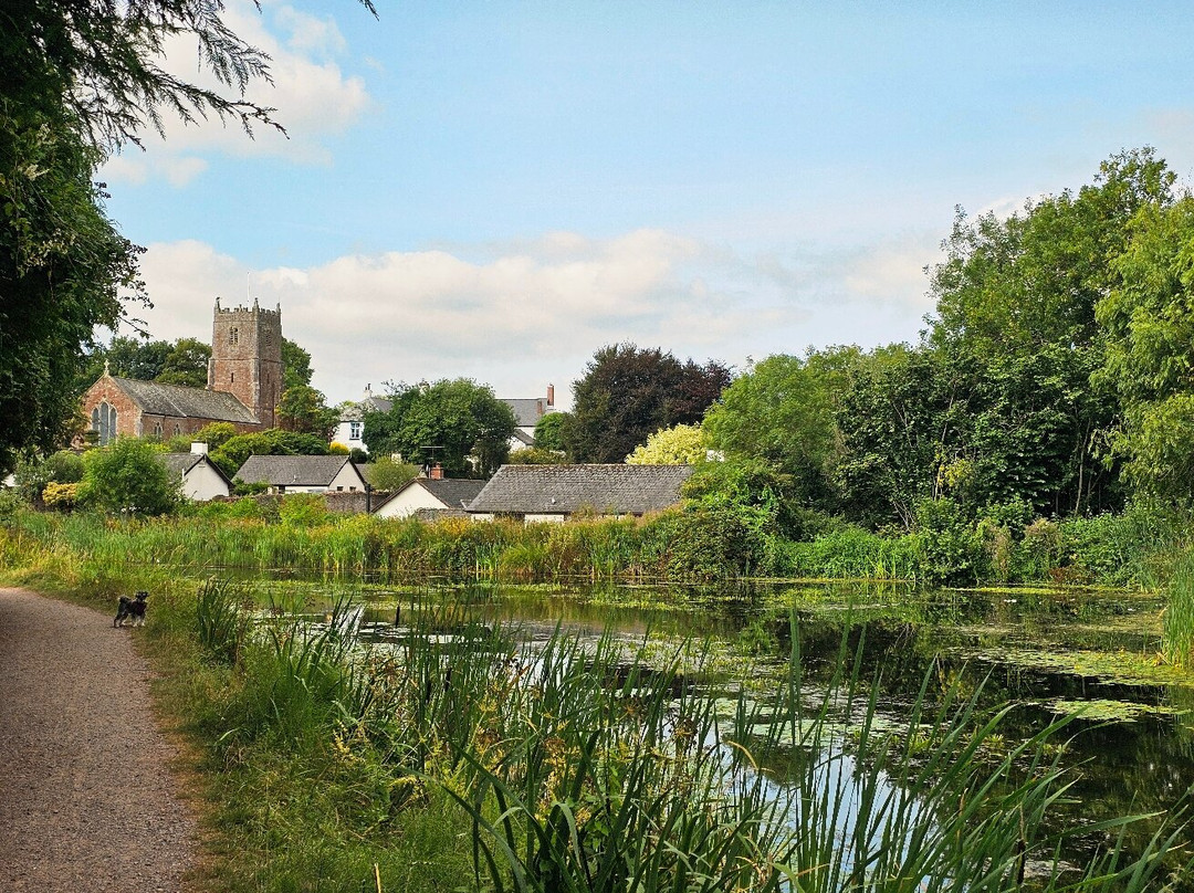 Minnows Touring Park