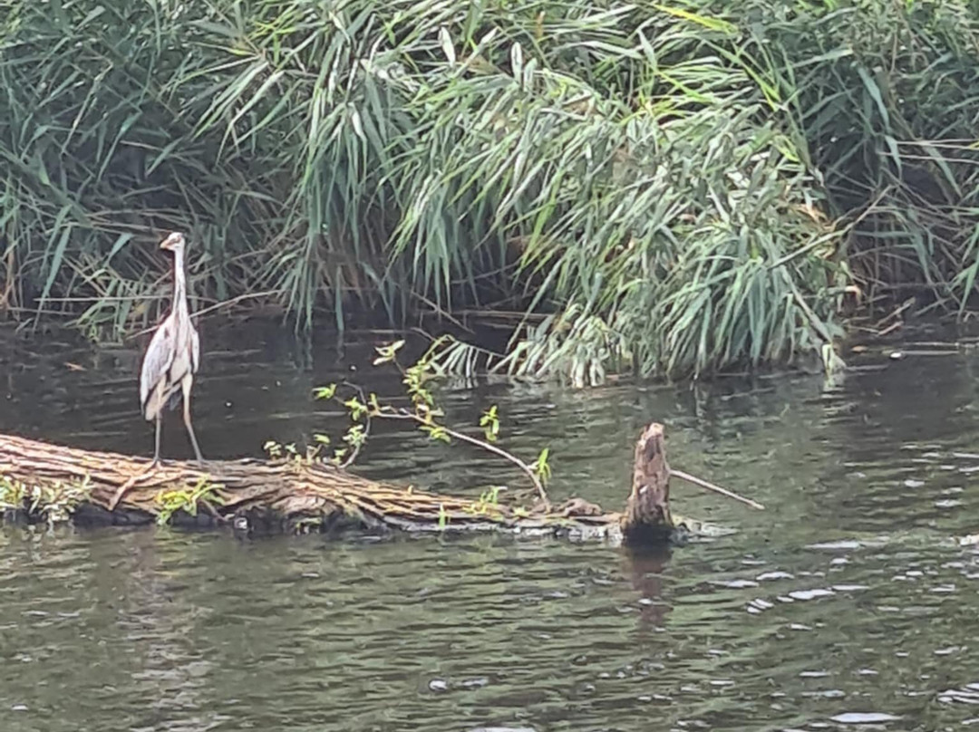 Teesside Princess-斯托克顿提斯必去景点