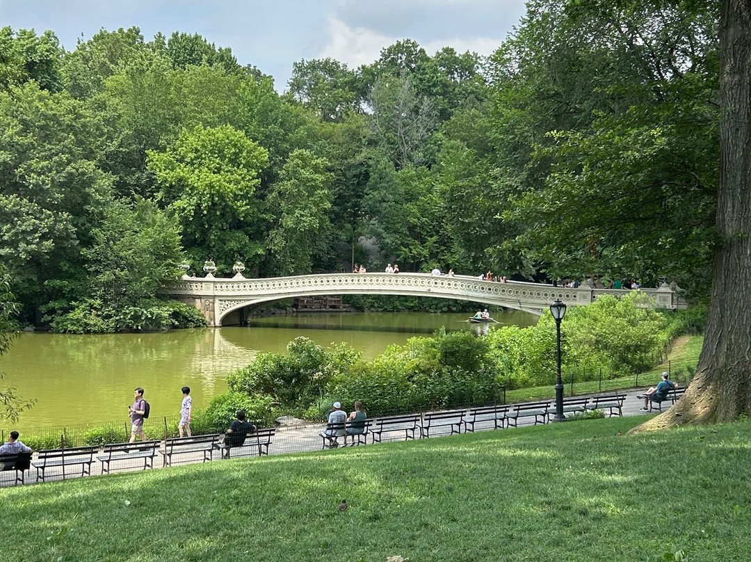 Journey Park Nyc|| Central Park Tours-纽约市必去景点