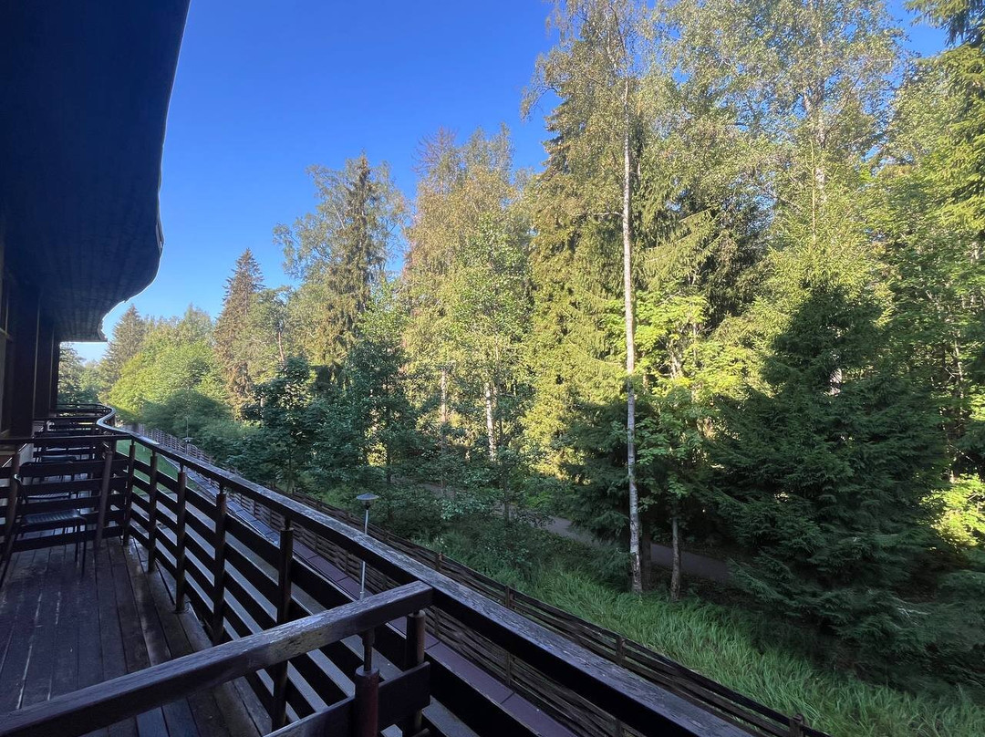 Forrestmix Club主图