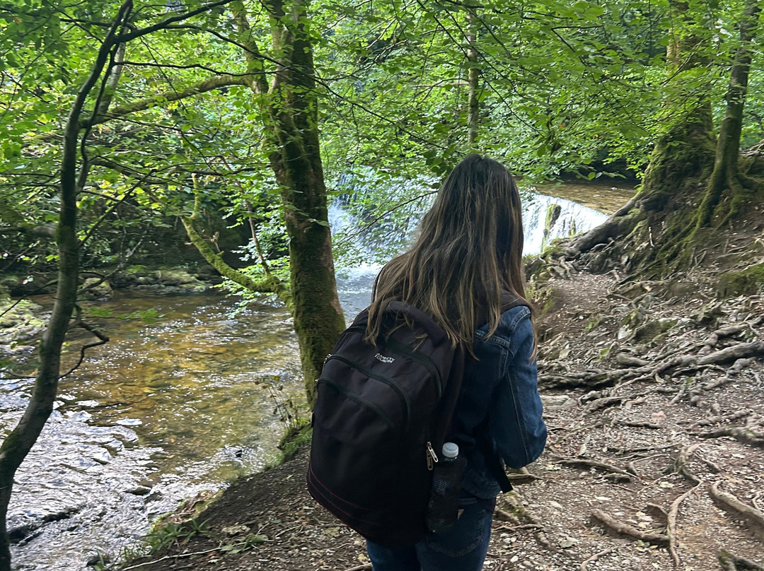 Stock Ghyll Force-安布赛德必去景点