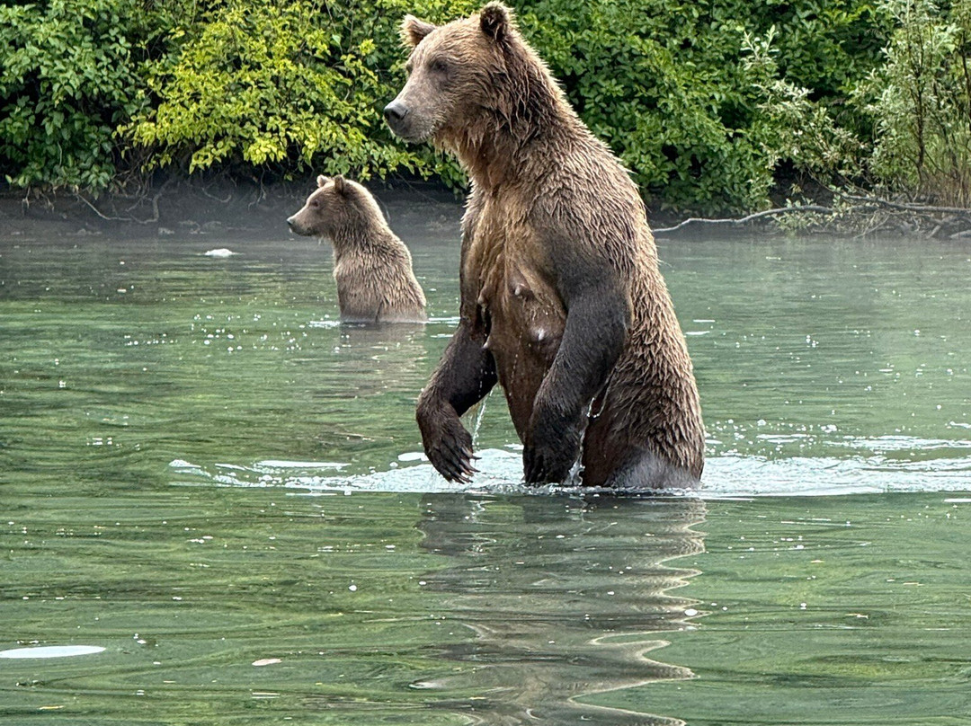 Talon Air Service-索尔多特纳必去景点