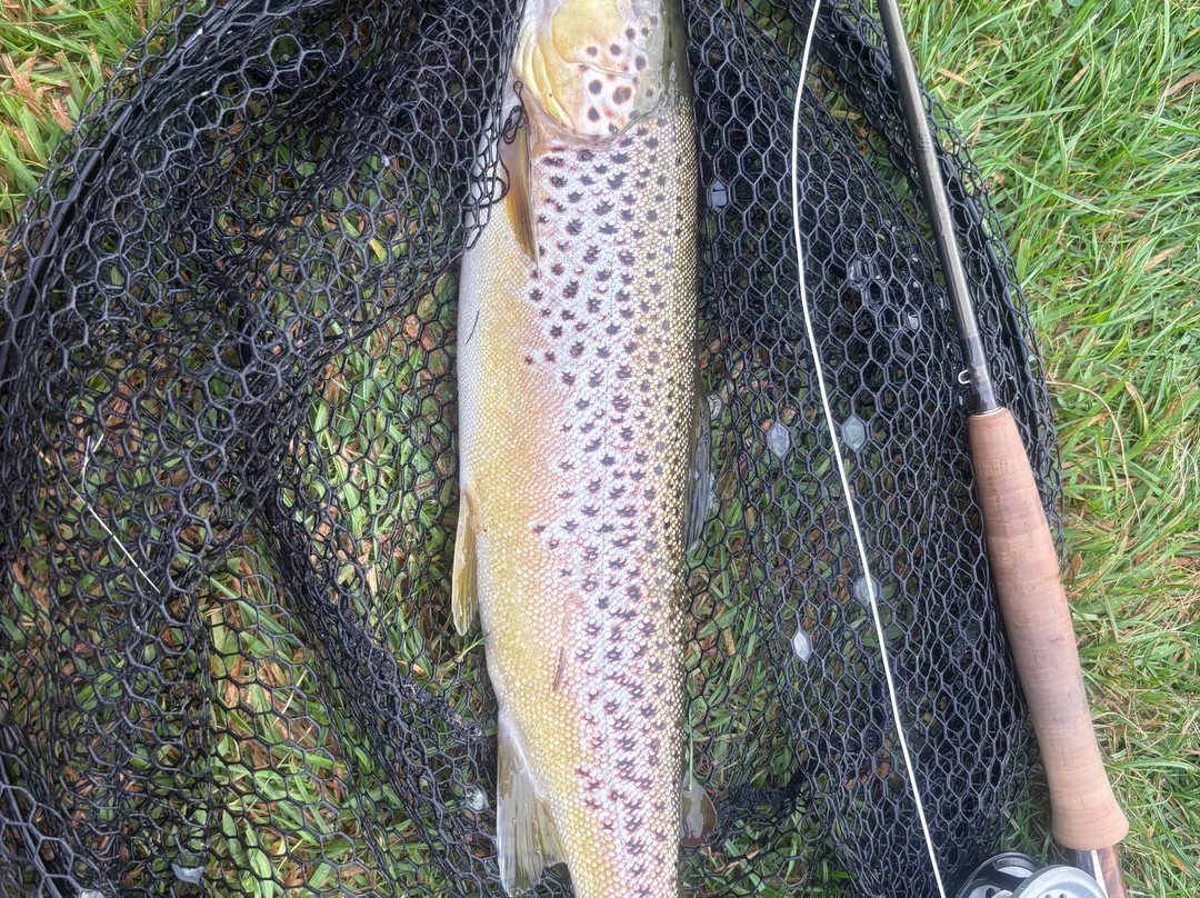 Upstream Dry Fly-Stockbridge必去景点