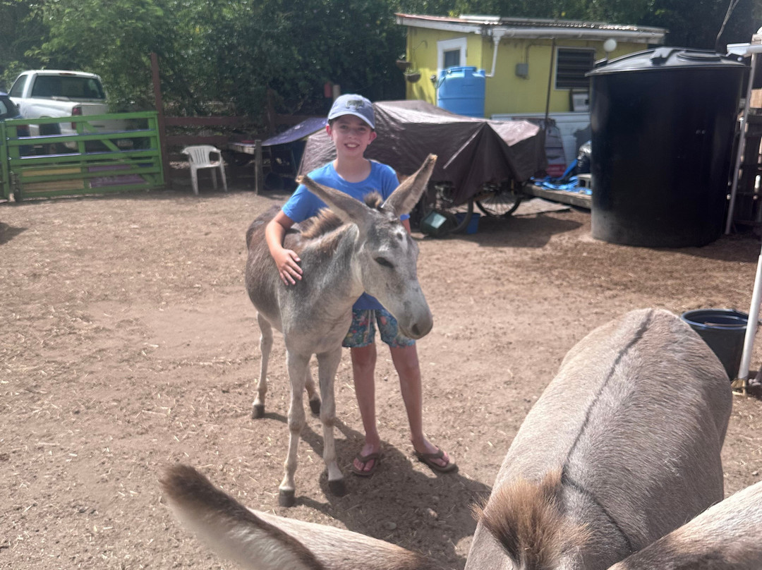 Carolina Corral-Coral Bay必去景点