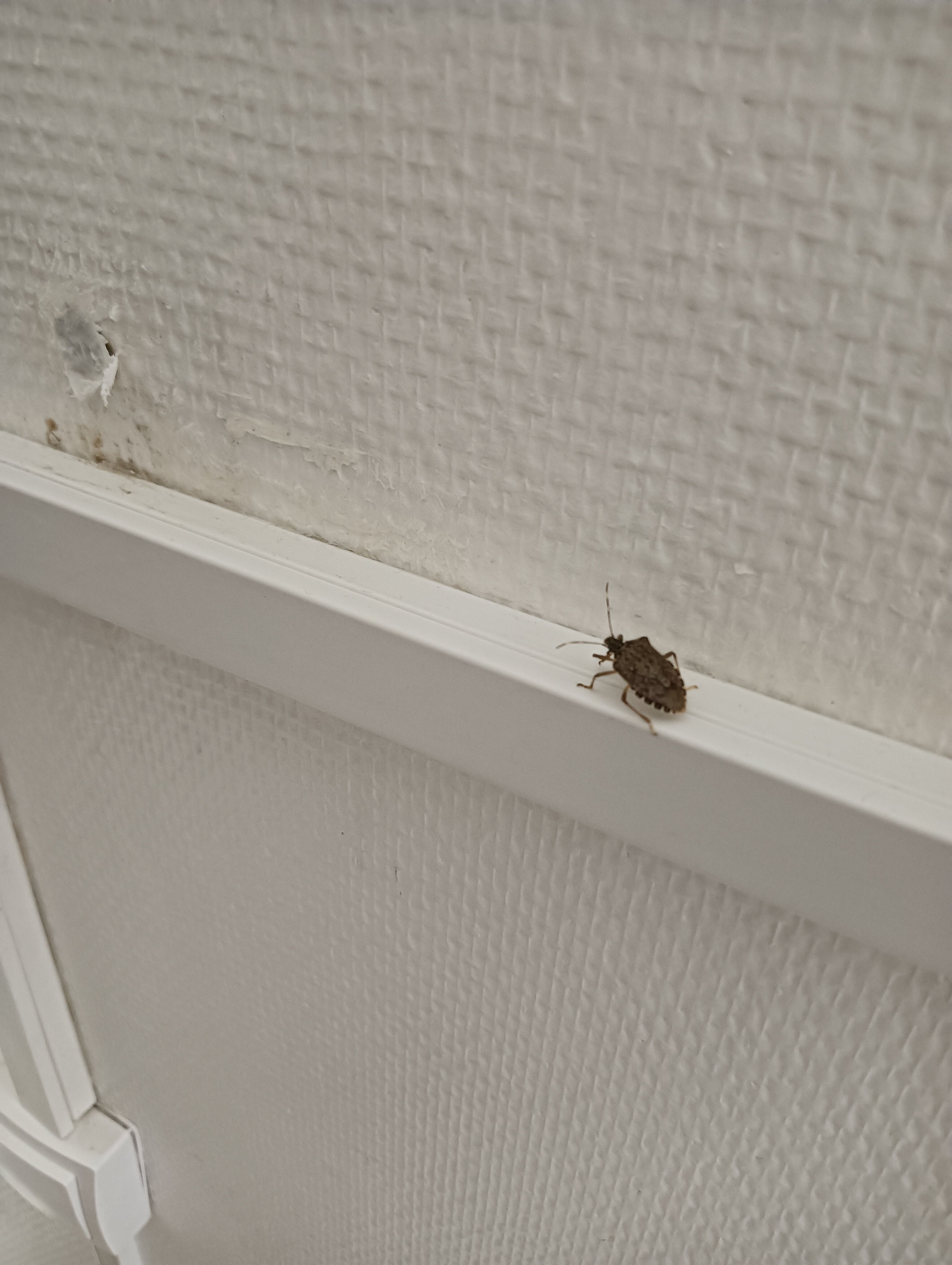 Hotel Le Boischaut-官方