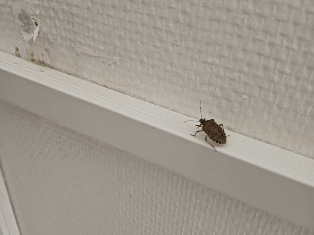 Hotel Le Boischaut主图