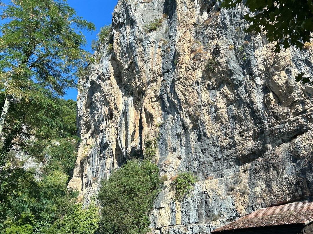 La Cere Chez Granny主图