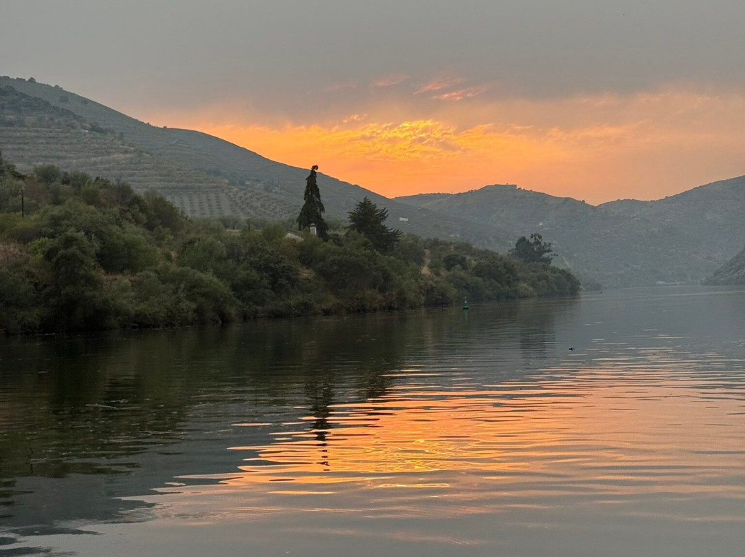 Wild River Tours-Vila Nova de Foz Coa必去景点