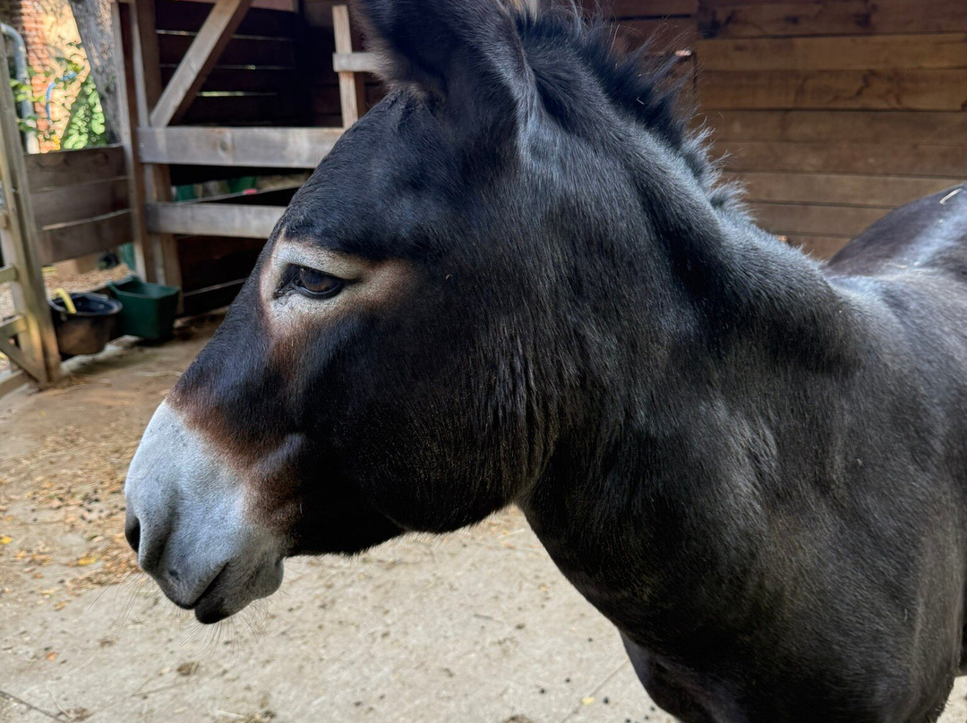 Les Chambres Du Parc主图