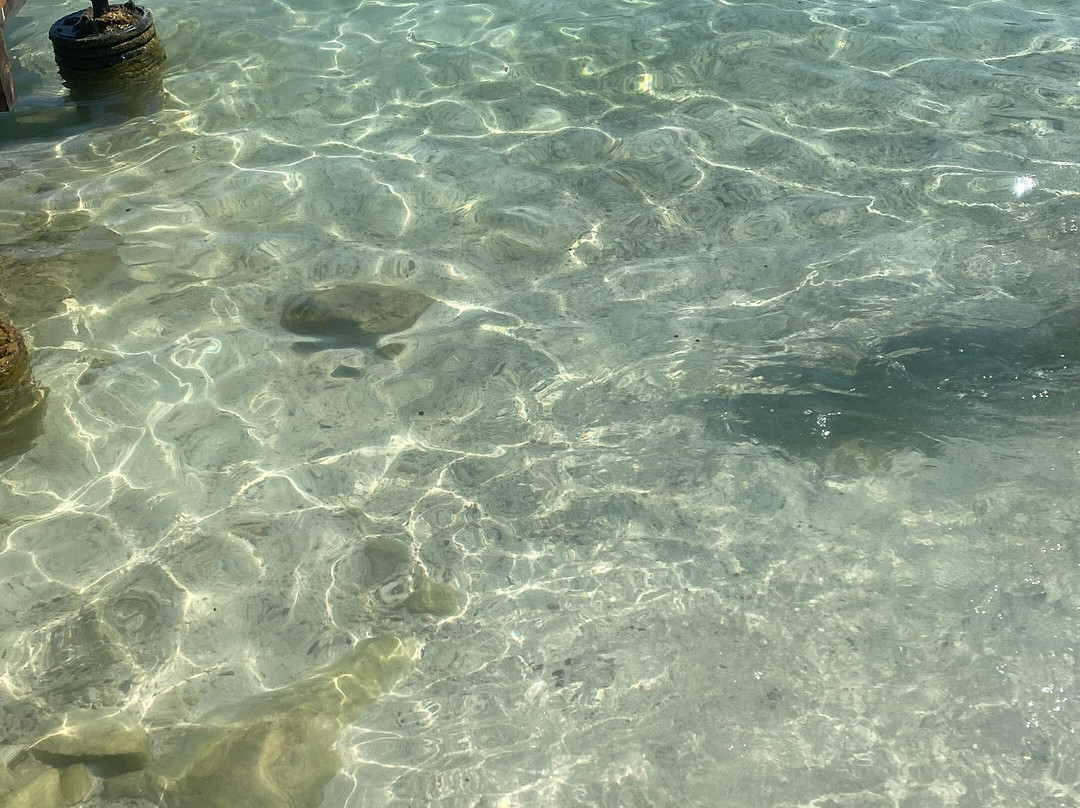 Ohana Beach Bar Ksamil-Ksamil必去景点