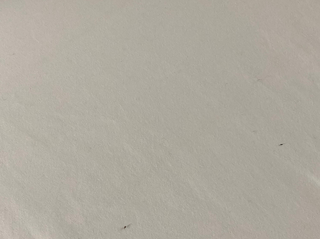 Wingate by Wyndham Athens near Downtown主图