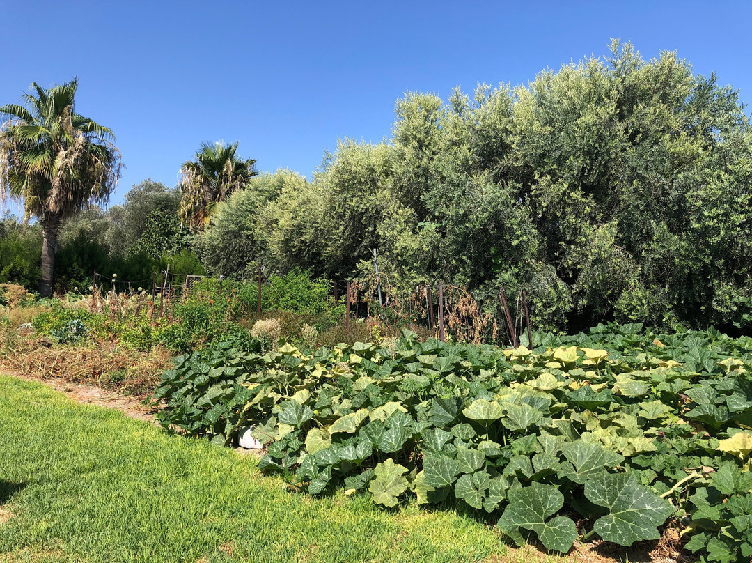 Bougainvillea Hotel Apartments主图