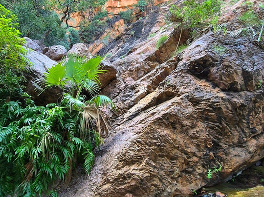 Silent Tours Kununurra-库努纳拉必去景点