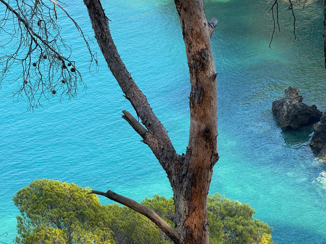 Hotel La Tramontana主图