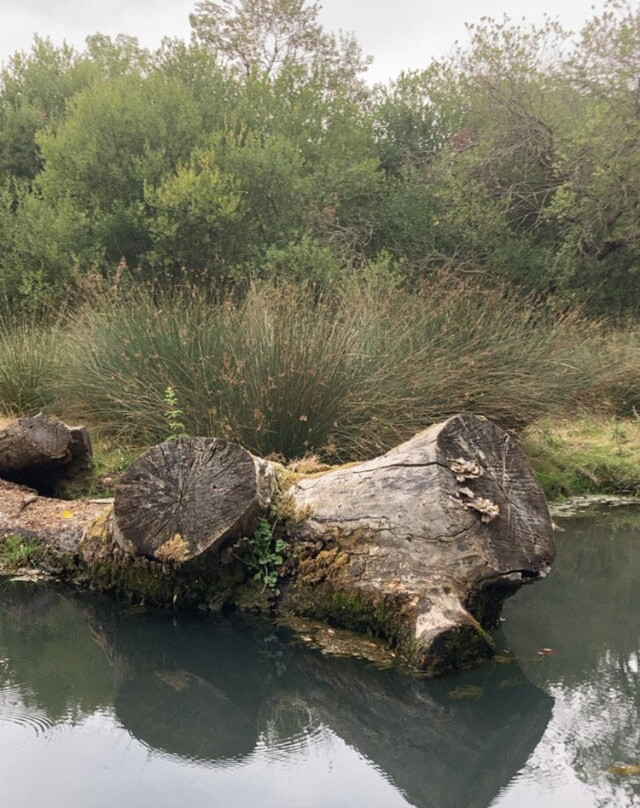 La Riviere de Chauvignac-Chenac-Saint-Seurin-d'Uzet必去景点