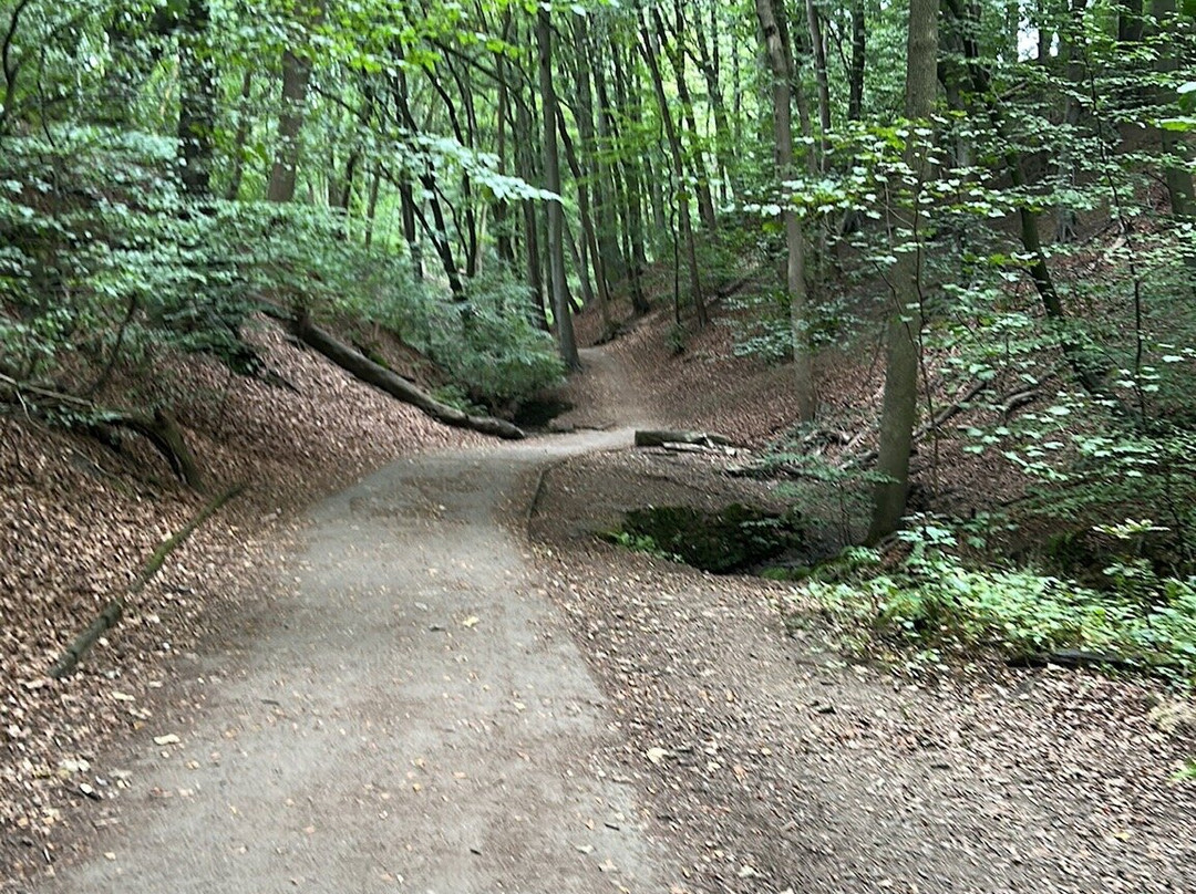 格雷夫公园-谢菲尔德必去景点