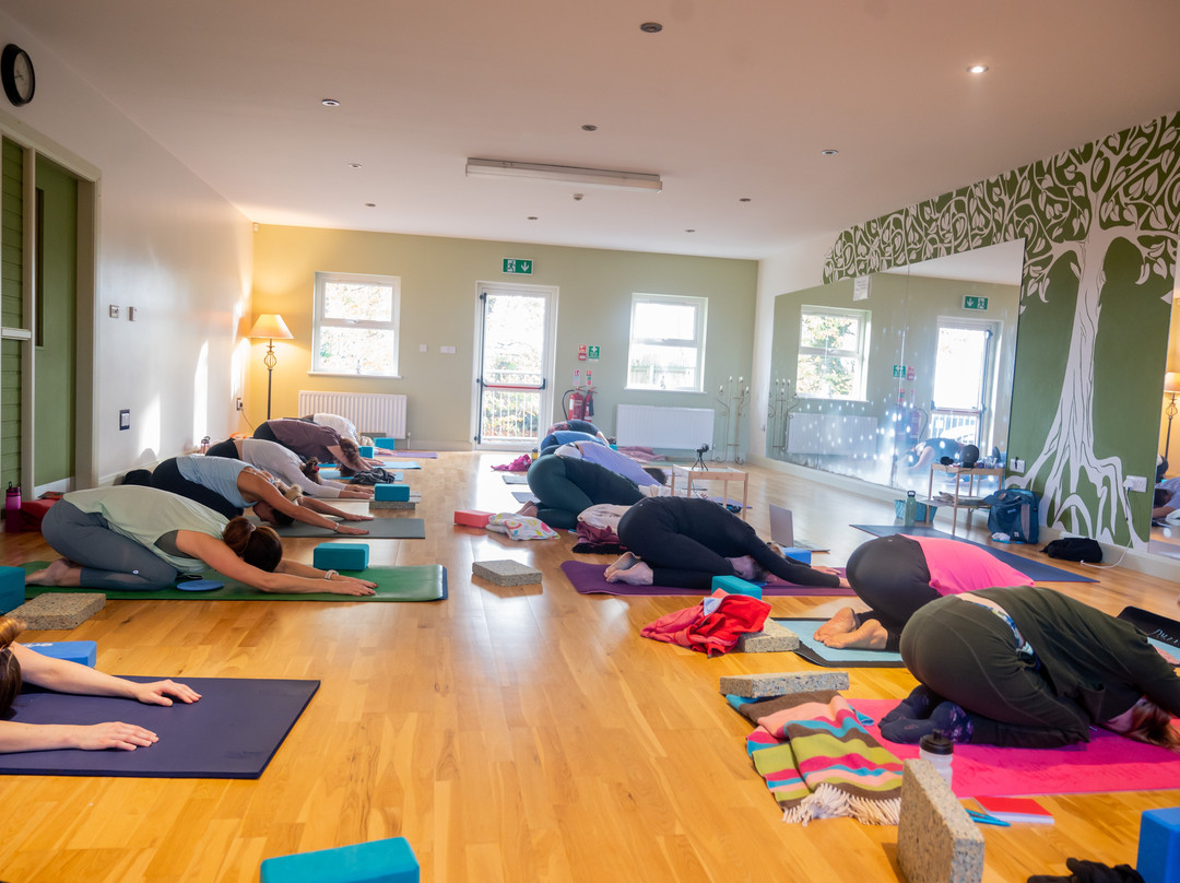 Orba Yoga Retreat & Health Spa-奥马必去景点