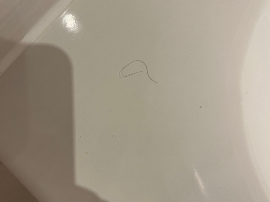 莱斯特布劳恩斯通普瑞米尔酒店主图