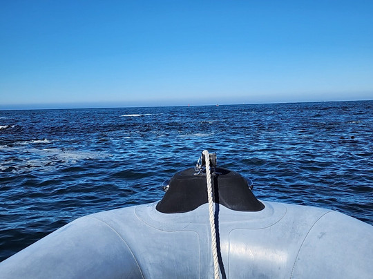 Whale's Tail Charters-Depoe Bay必去景点