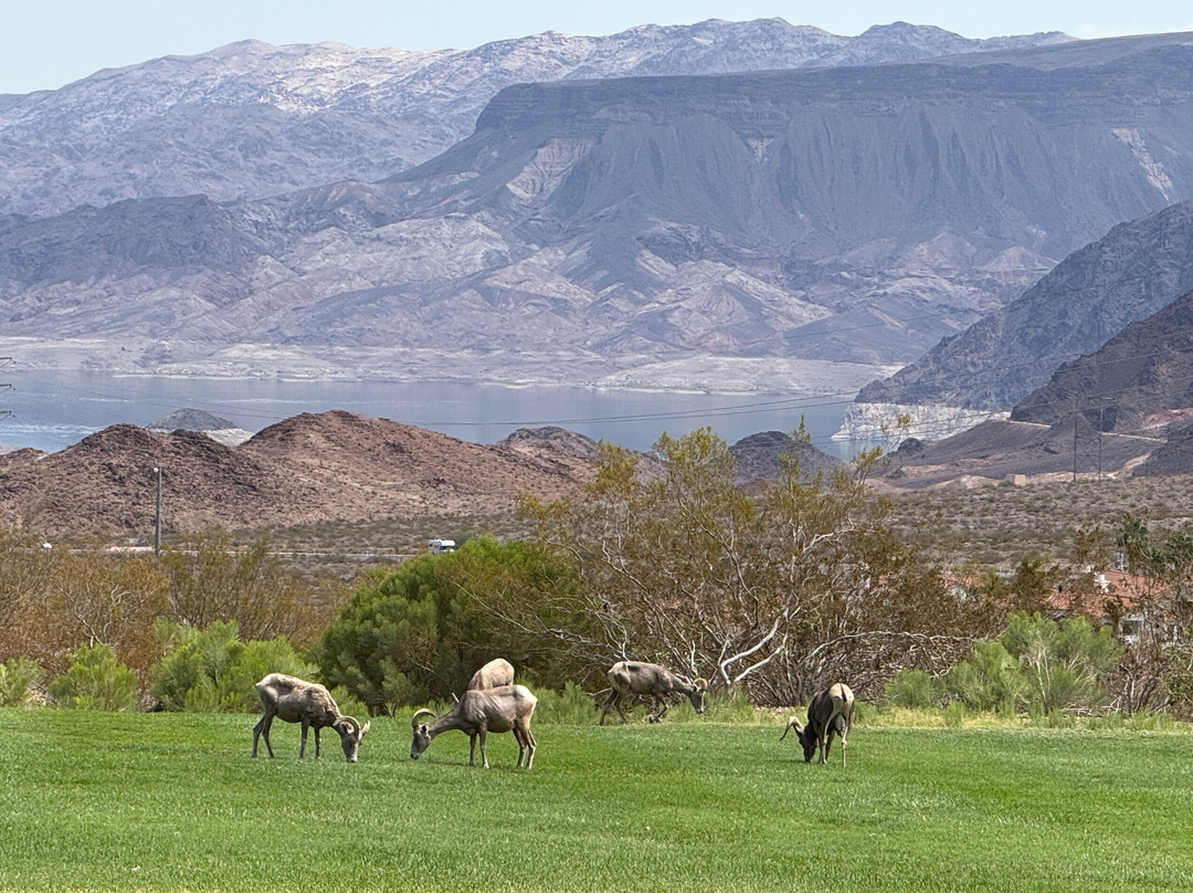 Hemenway Park-博尔德城必去景点