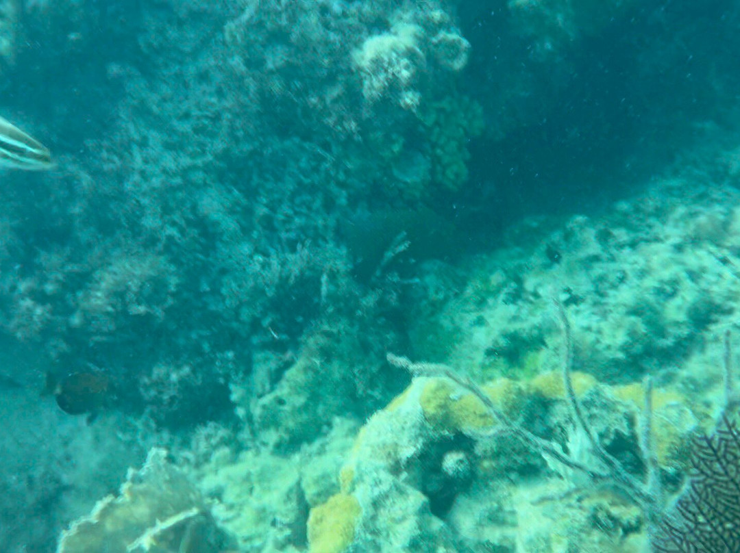 BDA Watersports-Sandys Parish必去景点