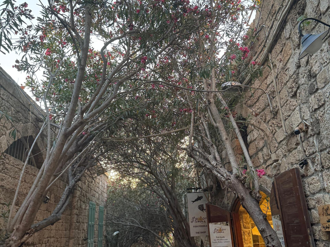 Lebanon SightSeeing-贝鲁特必去景点