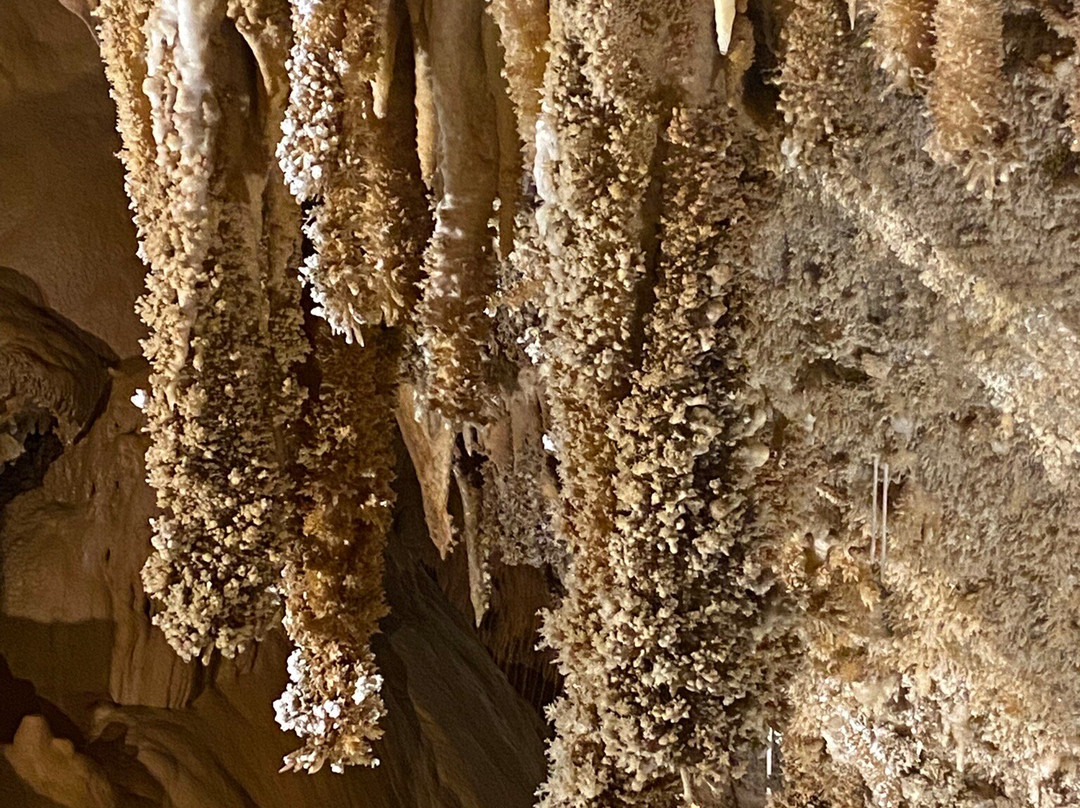 La Cueva de Valdeajo-Sabero必去景点