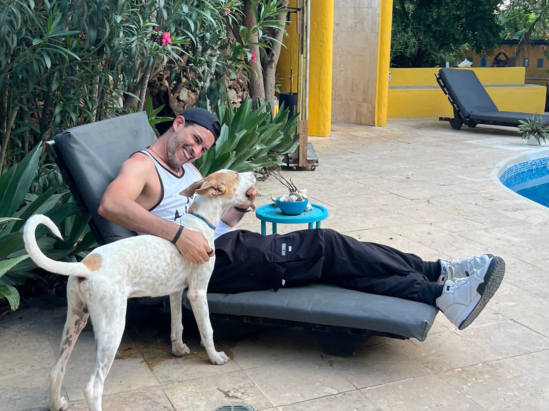 Stevie WonderLand Hotel Boutique主图