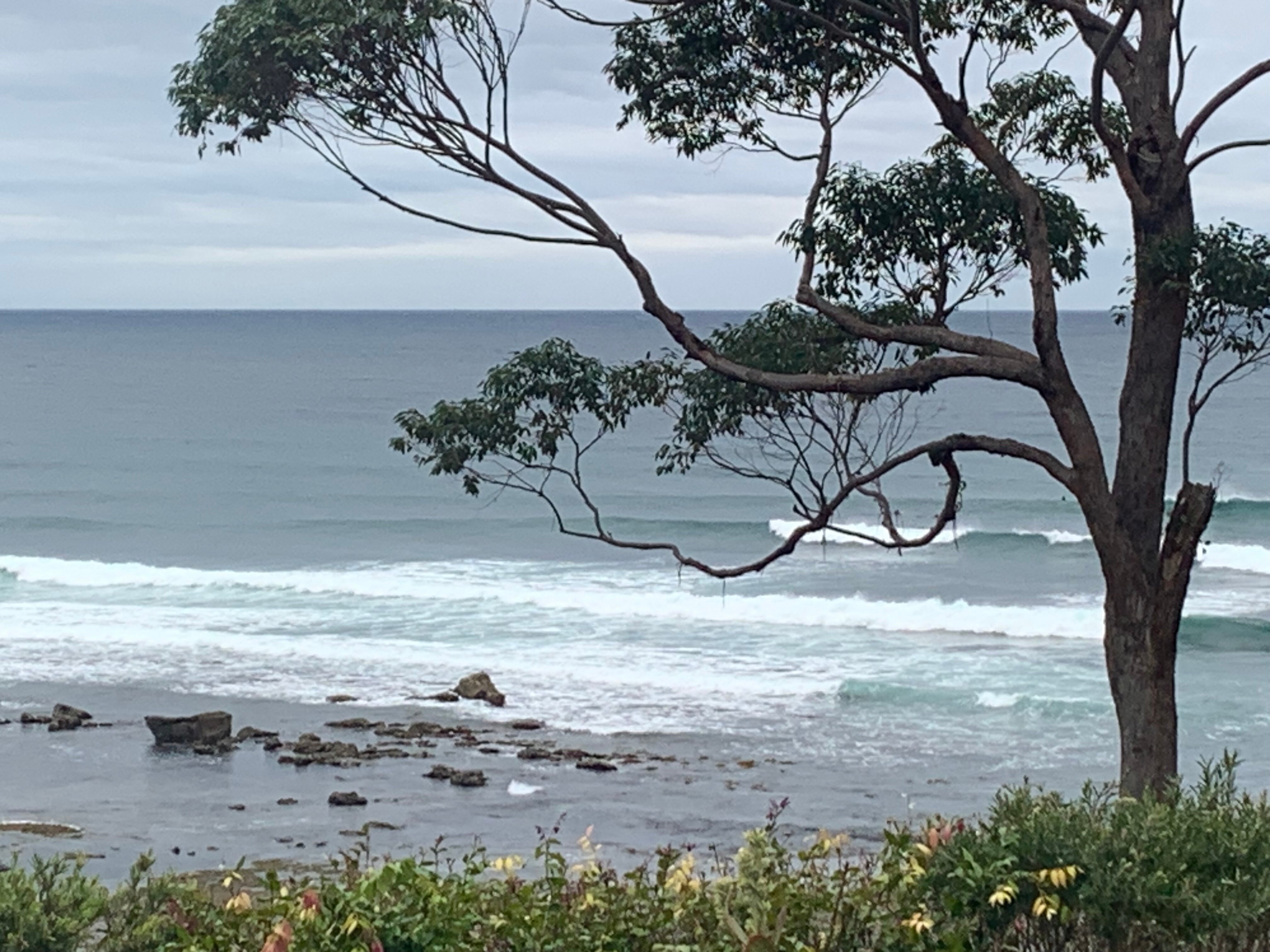 Mollymook Beach Waterfront-酒店景观
