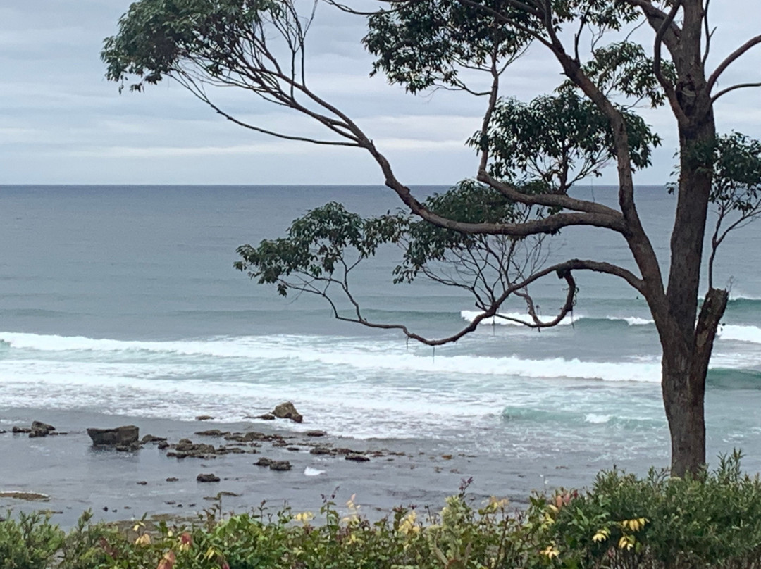 Mollymook Beach Waterfront主图