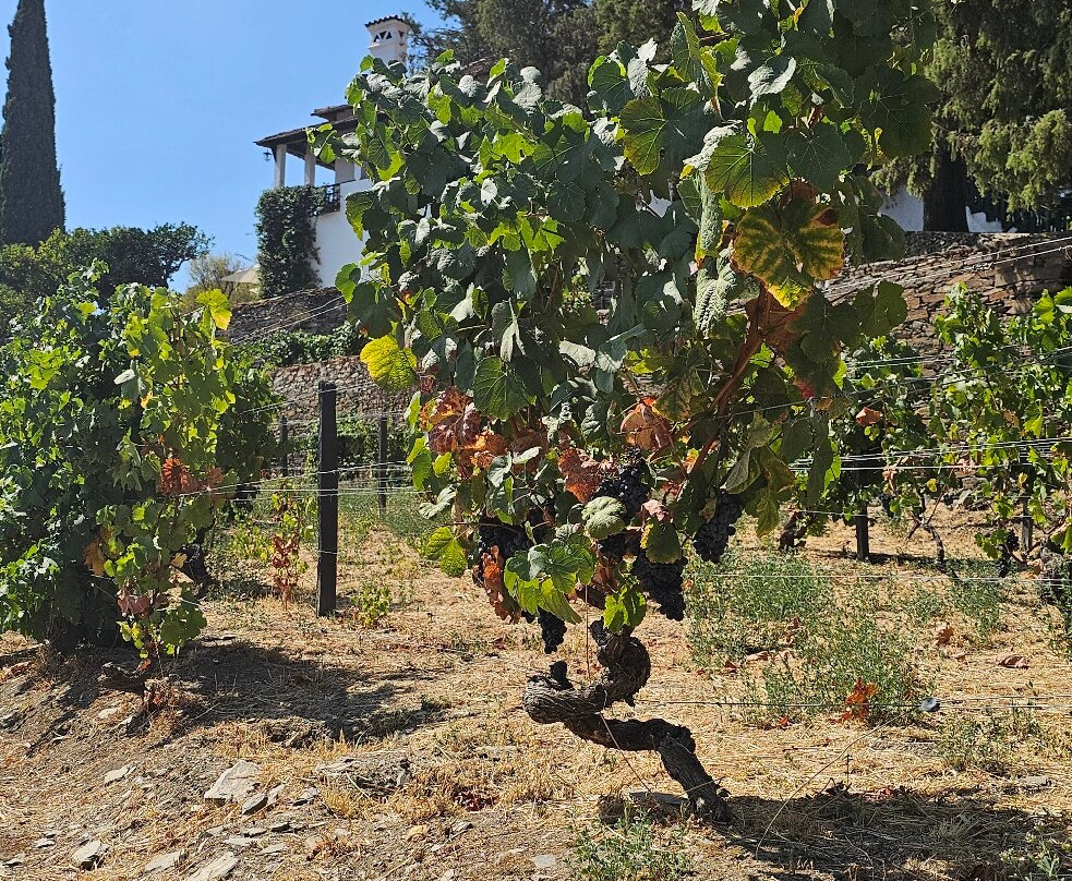 Quinta do Crasto-Sabrosa必去景点