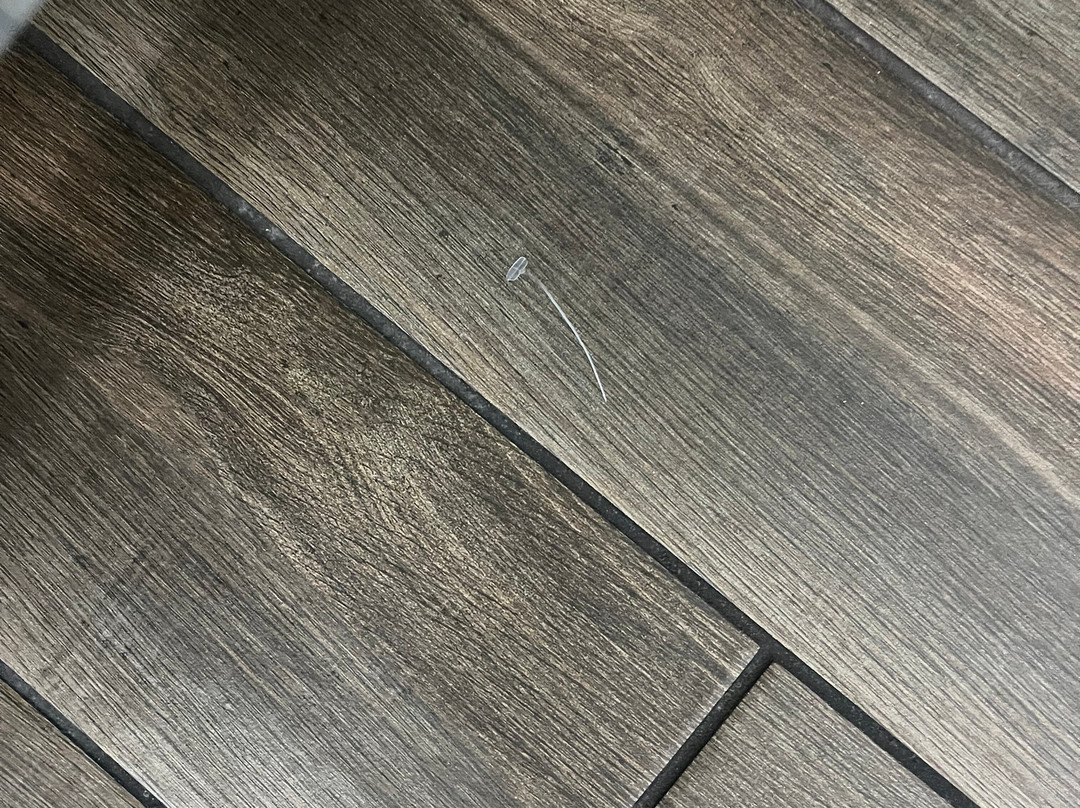 TownePlace Suites by Marriott Hot Springs主图