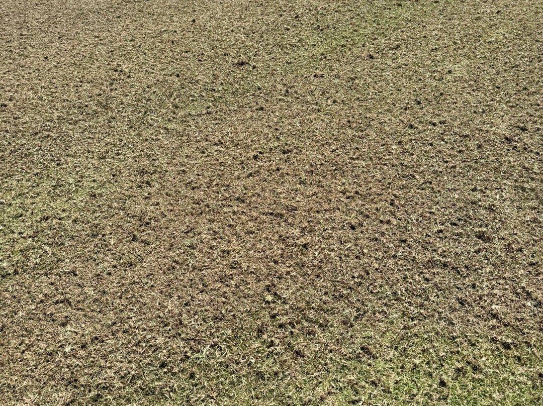 San Lorenzo Golf Course-Quinta do Lago必去景点