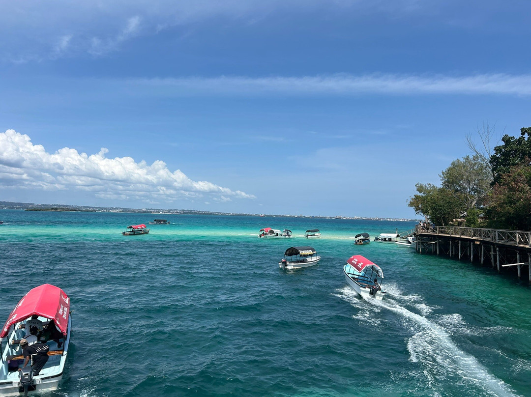 Unique Zanzibar Tours-桑给巴尔岛必去景点