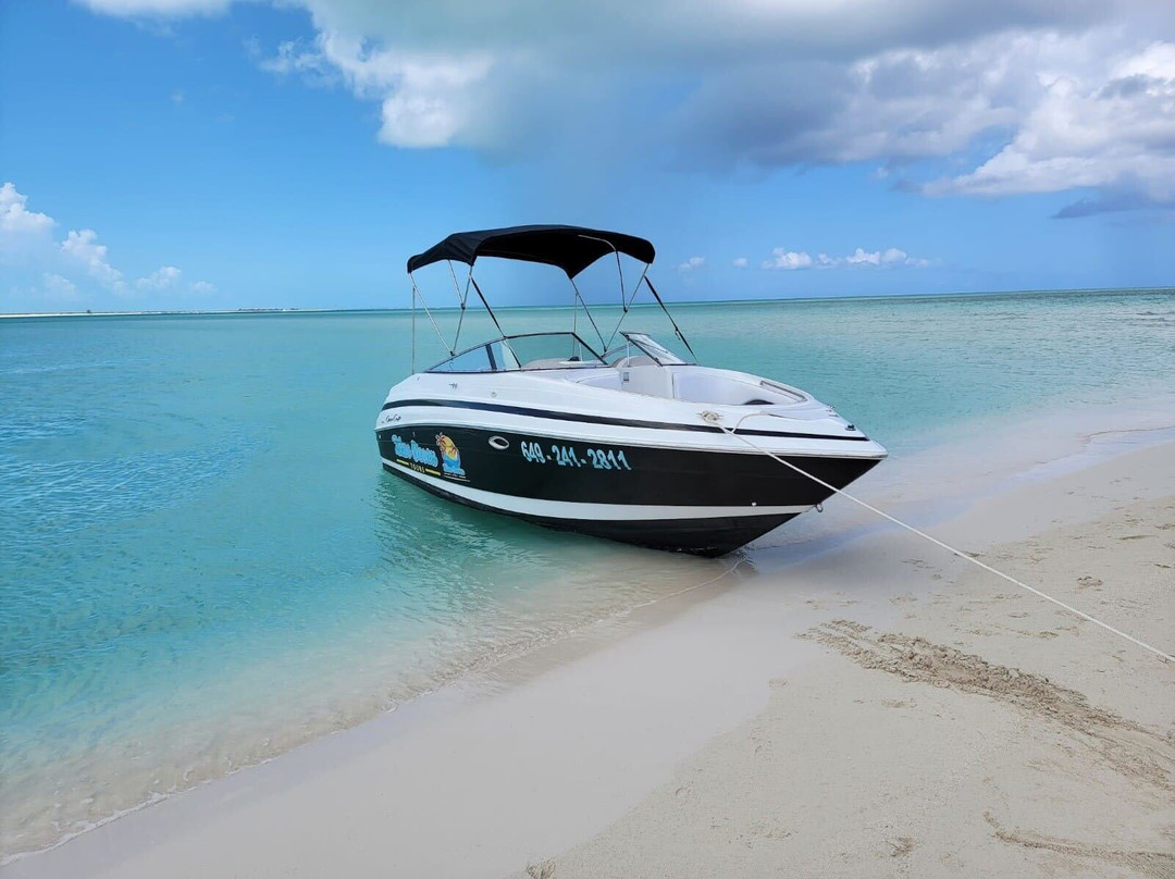 Blue Ocean Tours-Turtle Cove必去景点