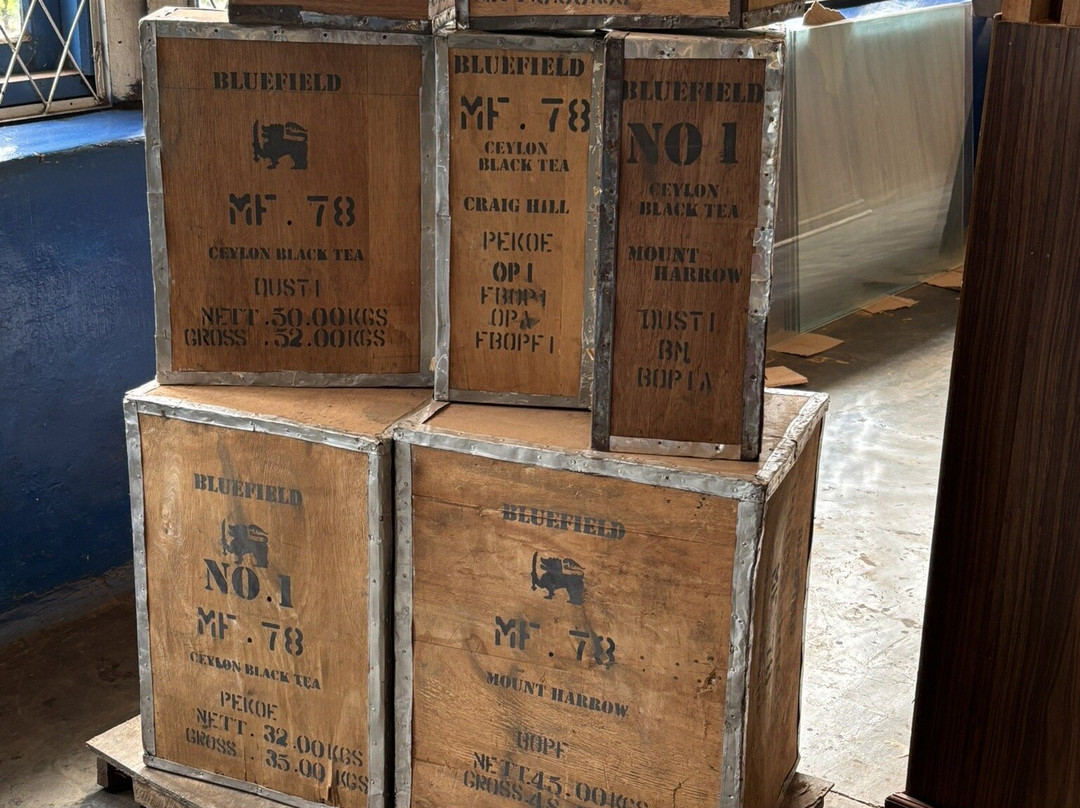 蓝田茶园-奴娃拉伊利雅必去景点