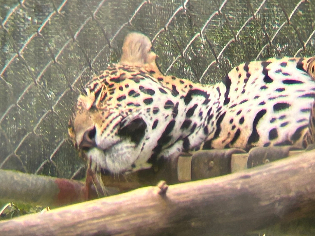 Centro de Rescate Las Pumas-Canas必去景点