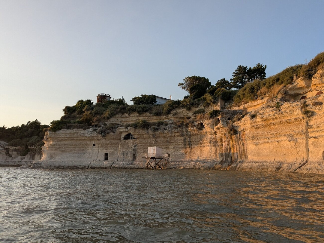 CROISIERES COTE DE BEAUTE-Meschers-sur-Gironde必去景点