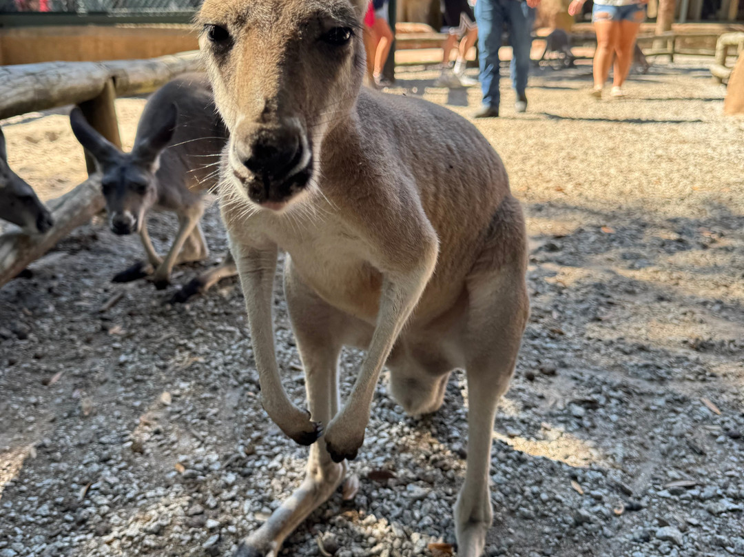 Bee City-Cottageville必去景点