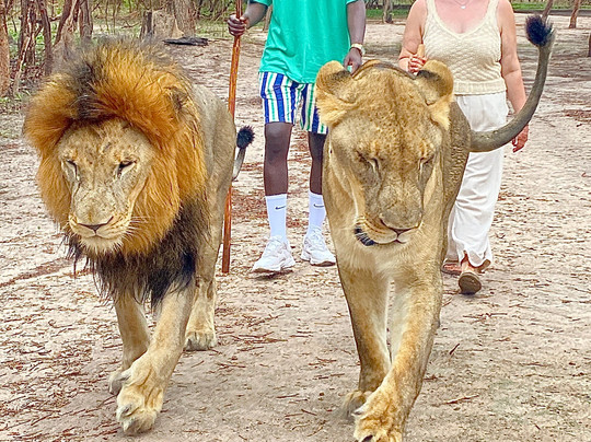 Senegal for Travellers-达喀尔必去景点
